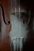 A close-up view of a musical instrument, focusing on the central part of a stringed instrument, likely a violin or cello. The strings are visible, along with the F-holes which contribute to the instrument's sound quality. The wood has a rich, dark finish.