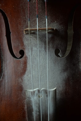A close-up view of a musical instrument, focusing on the central part of a stringed instrument, likely a violin or cello. The strings are visible, along with the F-holes which contribute to the instrument's sound quality. The wood has a rich, dark finish.