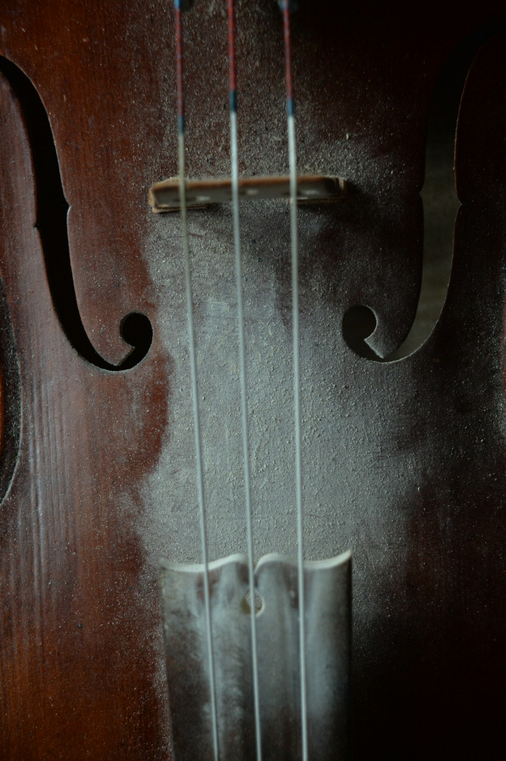 a close up of the strings of a violin