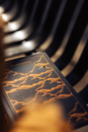 A hardbound book titled 'Metamorphoses' featuring intricate golden illustrations of clouds on a dark cover. The background consists of dark, repetitive patterns, possibly seats or panels, creating an abstract and focused composition.