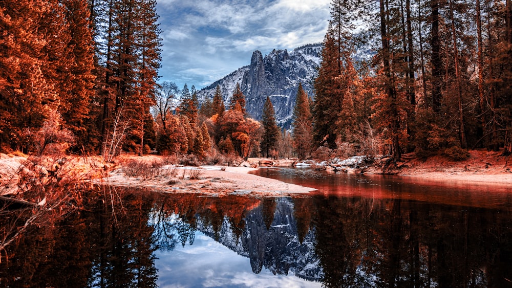 a lake surrounded by trees with a mountain in the background