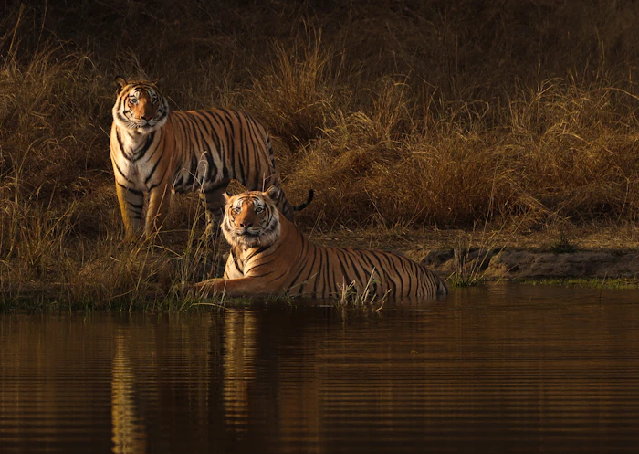 Madhya Pradesh