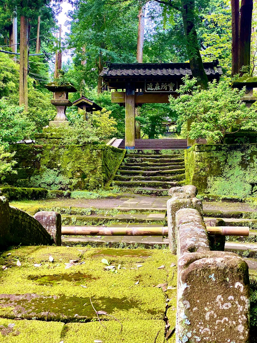 moss covered steps leading to a pagoda in a forest