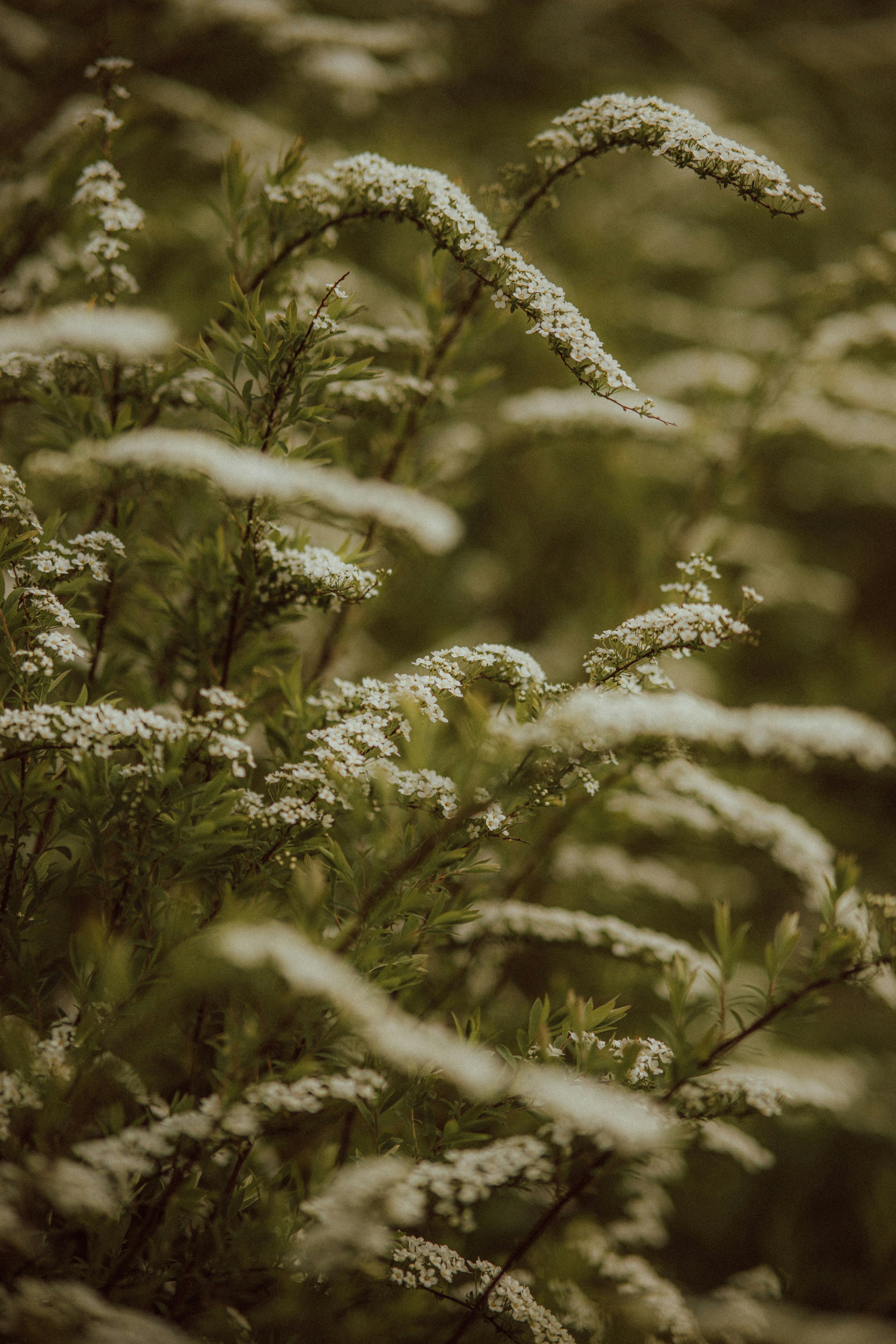 Photo by vadym_chumak