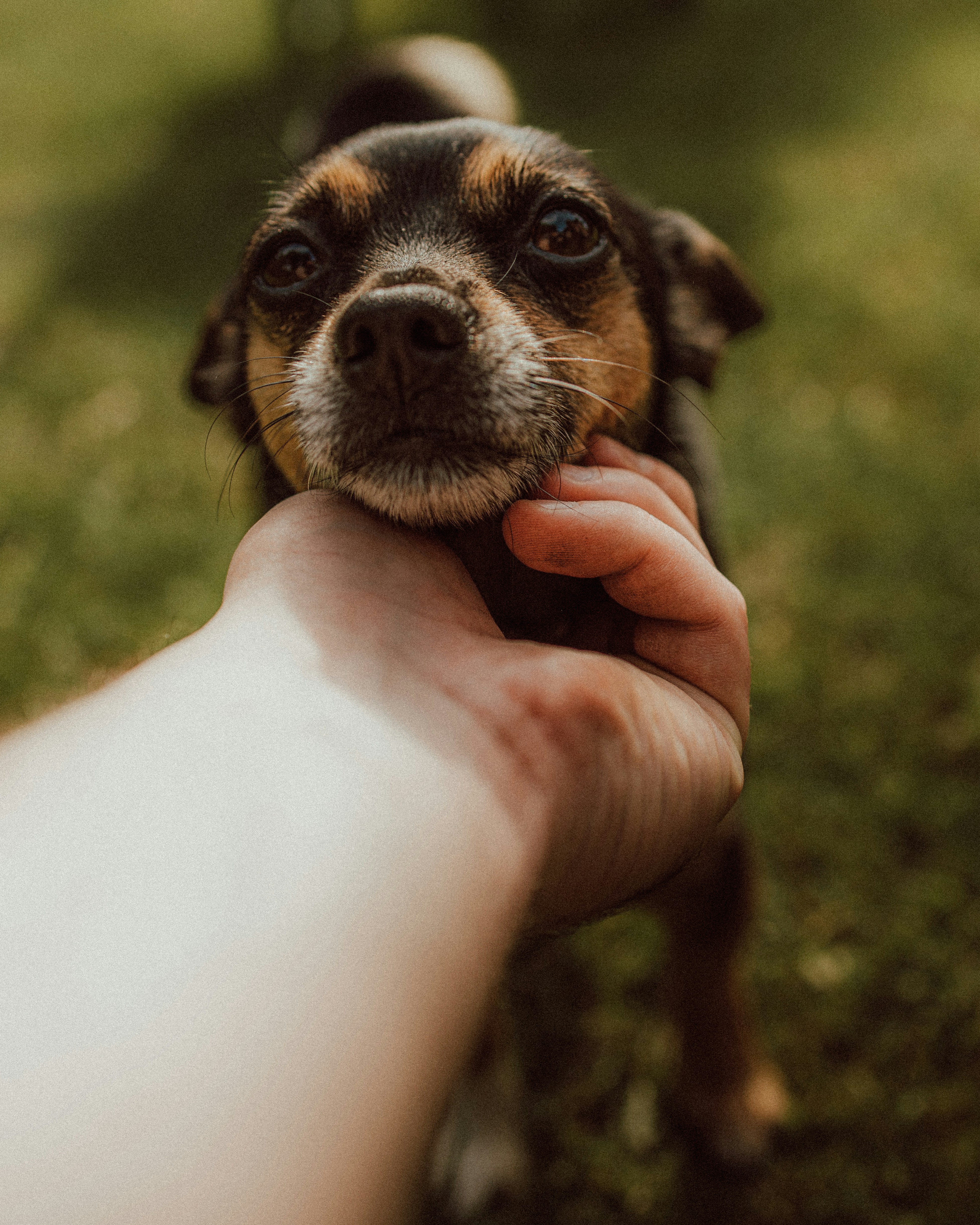 Photo by vadym_chumak