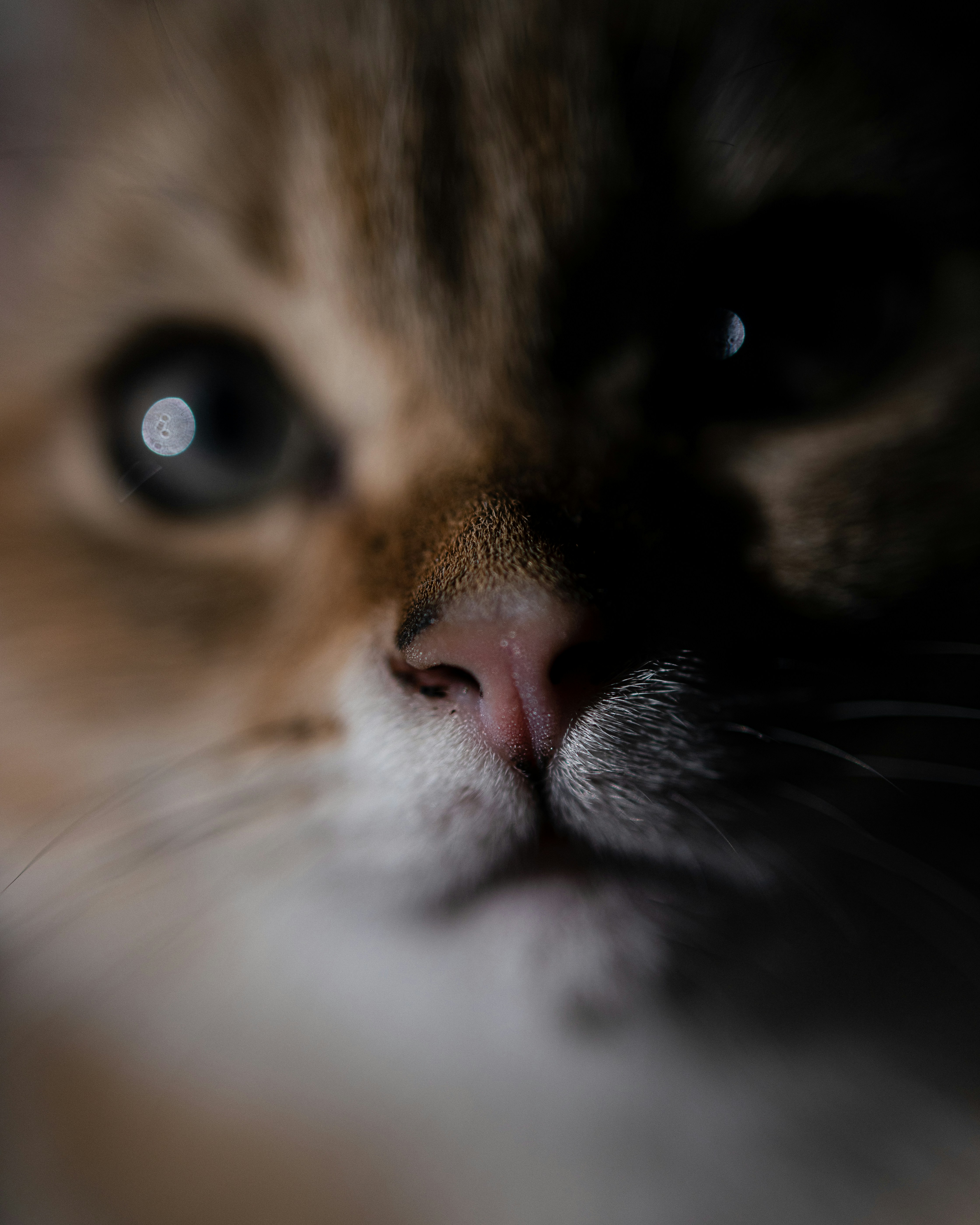 Photo by vadym_chumak