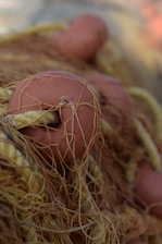 A close-up view of a fishing net, featuring a tangled mesh of thin ropes and threads. Prominent rounded floats in a soft terracotta color are interspersed throughout the net. The texture and complexity of the netting are highlighted by the intertwining of fibers.
