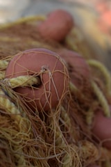A close-up view of a fishing net, featuring a tangled mesh of thin ropes and threads. Prominent rounded floats in a soft terracotta color are interspersed throughout the net. The texture and complexity of the netting are highlighted by the intertwining of fibers.