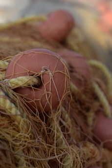 A close-up view of a fishing net, featuring a tangled mesh of thin ropes and threads. Prominent rounded floats in a soft terracotta color are interspersed throughout the net. The texture and complexity of the netting are highlighted by the intertwining of fibers.