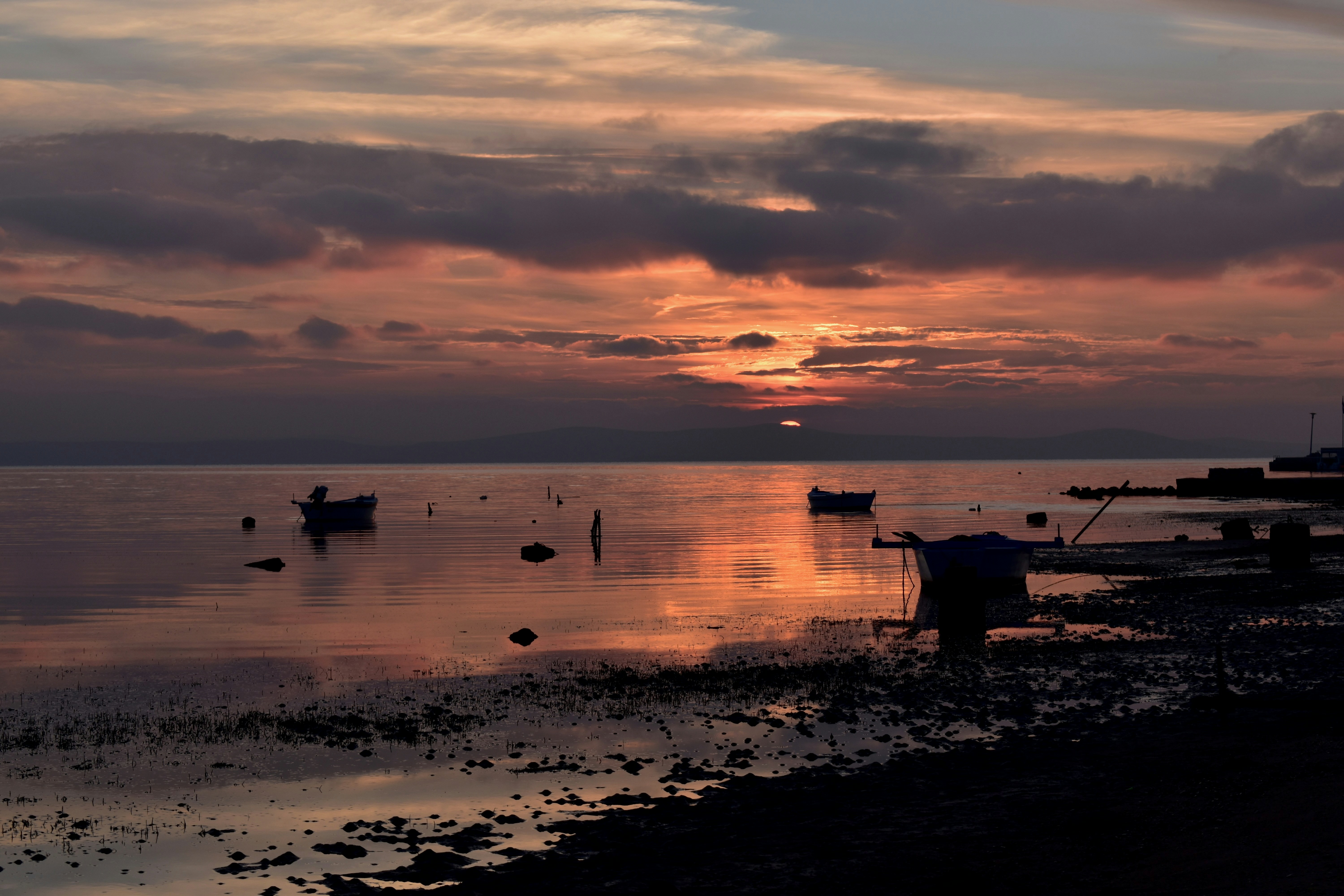 Photo by katykatekatekaty