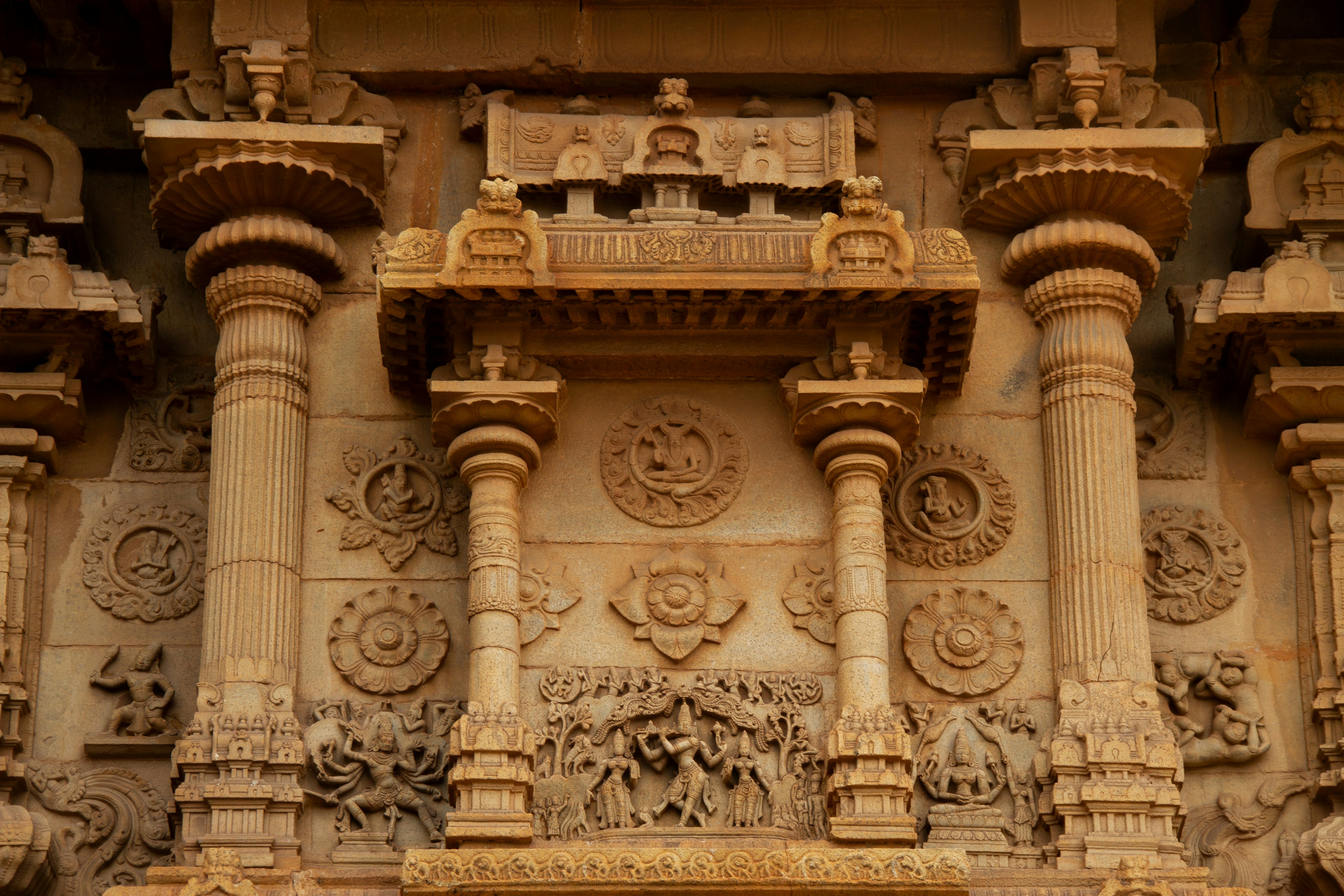 Photo by pon_esakki_sundar