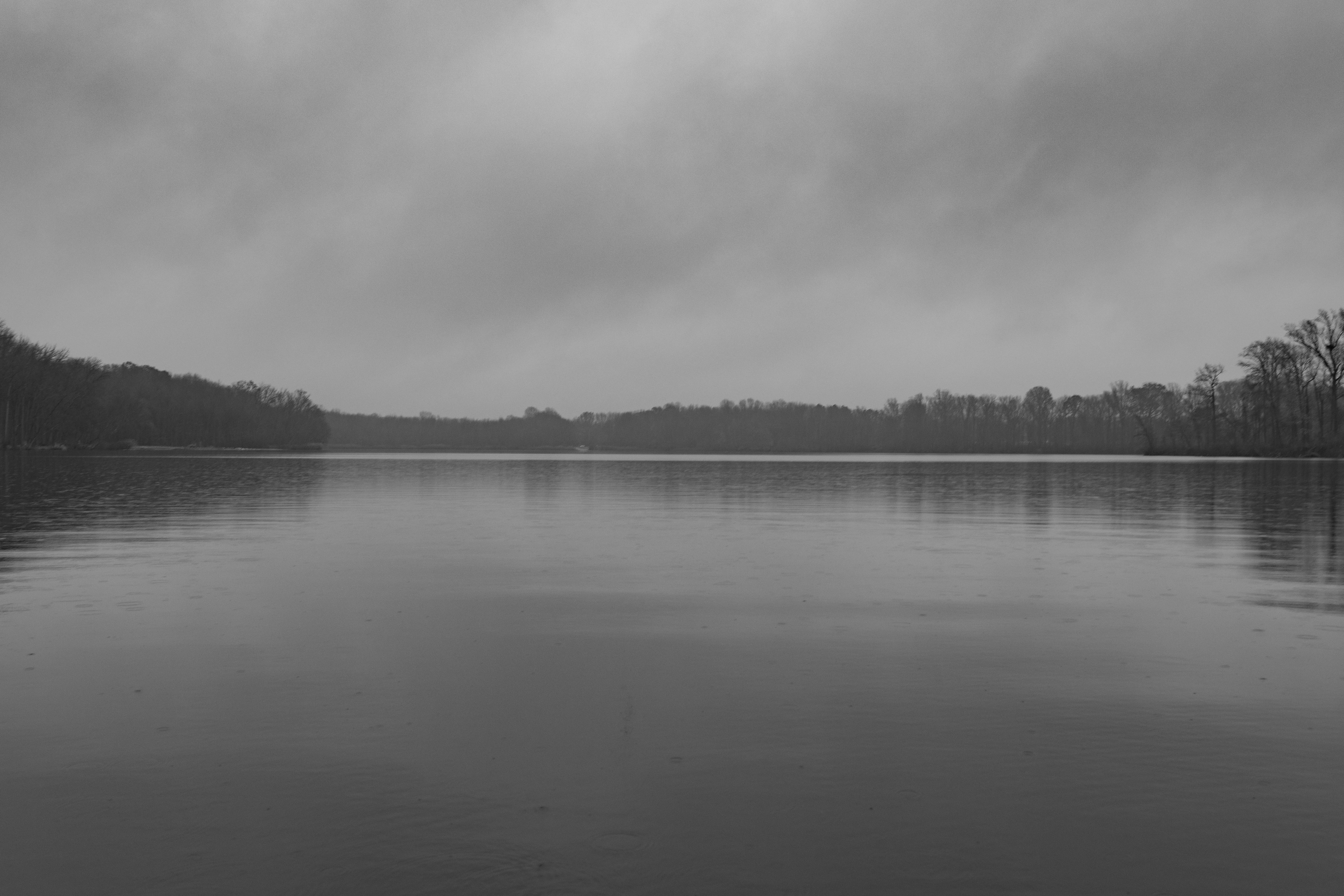 Photo by danieldorman