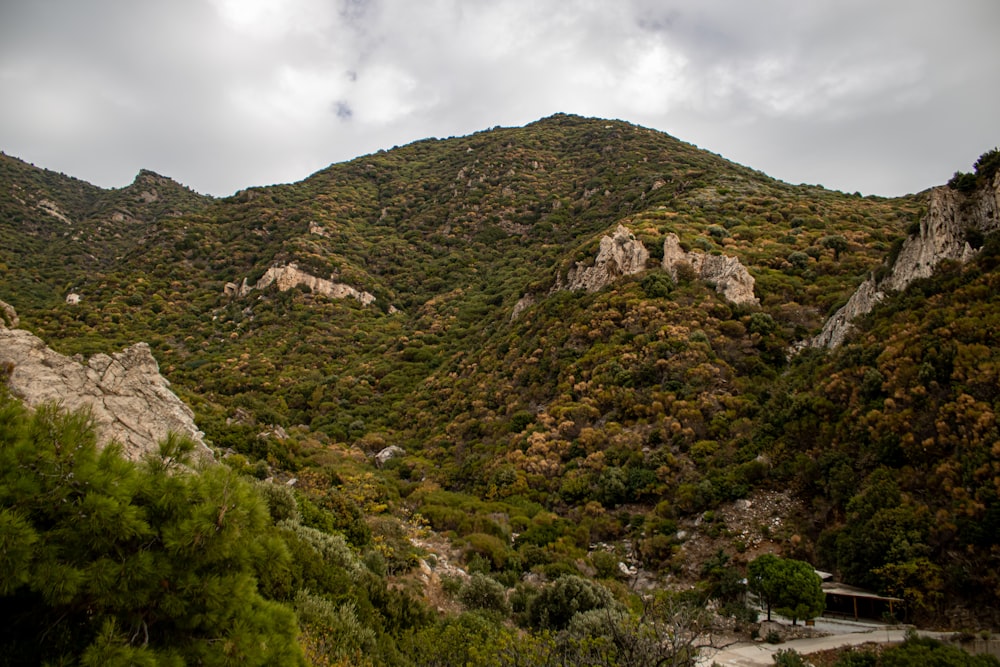 una vista panoramica di una montagna con alberi e cespugli