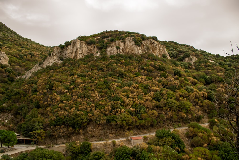 una montagna con una strada che sale sul fianco di essa