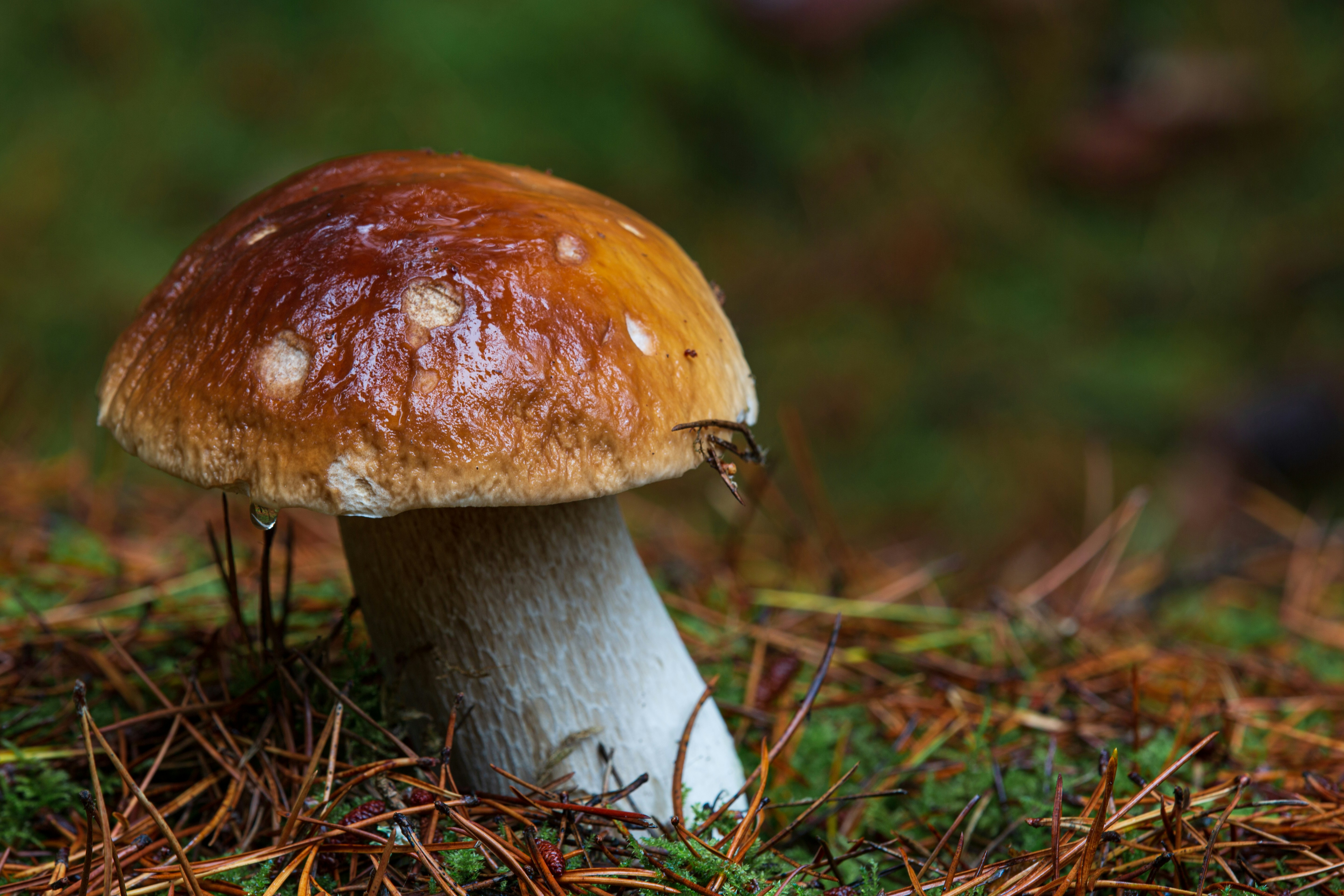 Photo by simonkittle