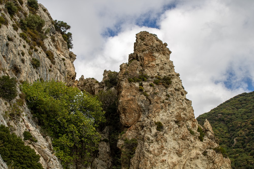 una montagna rocciosa con alcuni alberi che crescono