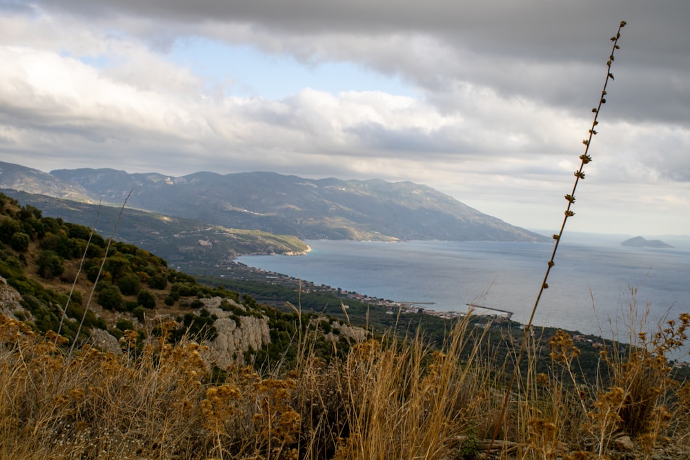 Una vista di uno specchio d'acqua da una collina