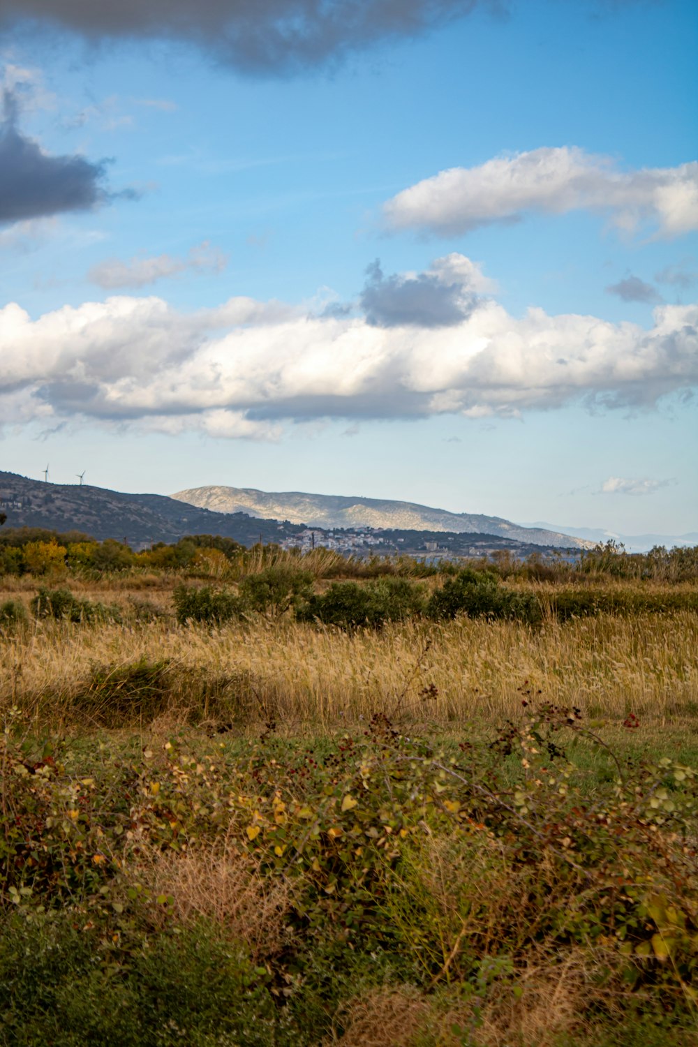 a lone horse standing in a field with mountains in the background