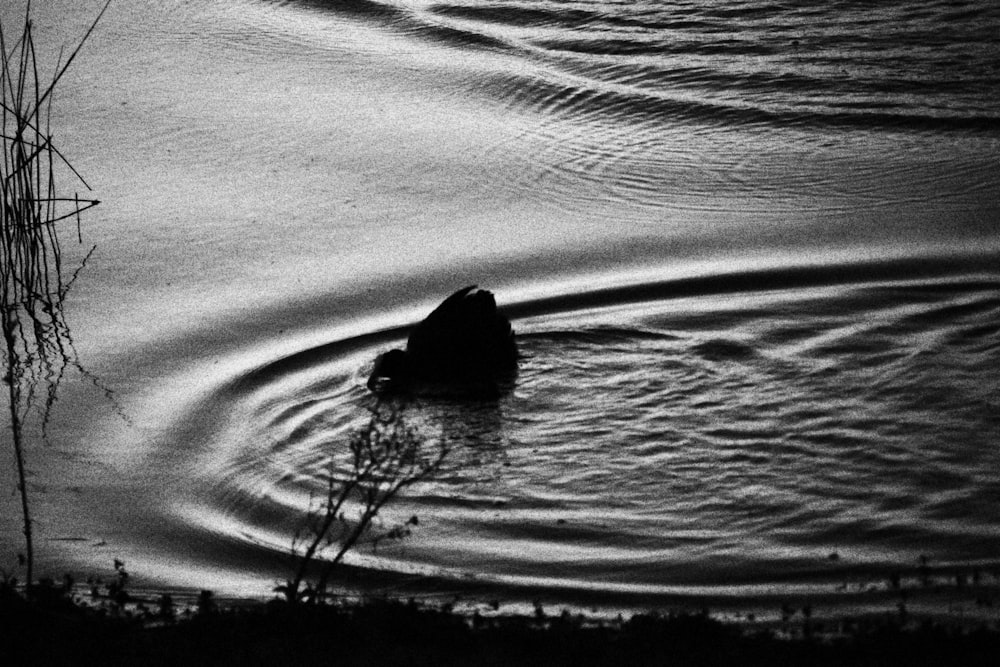 a black and white photo of a rock in the water