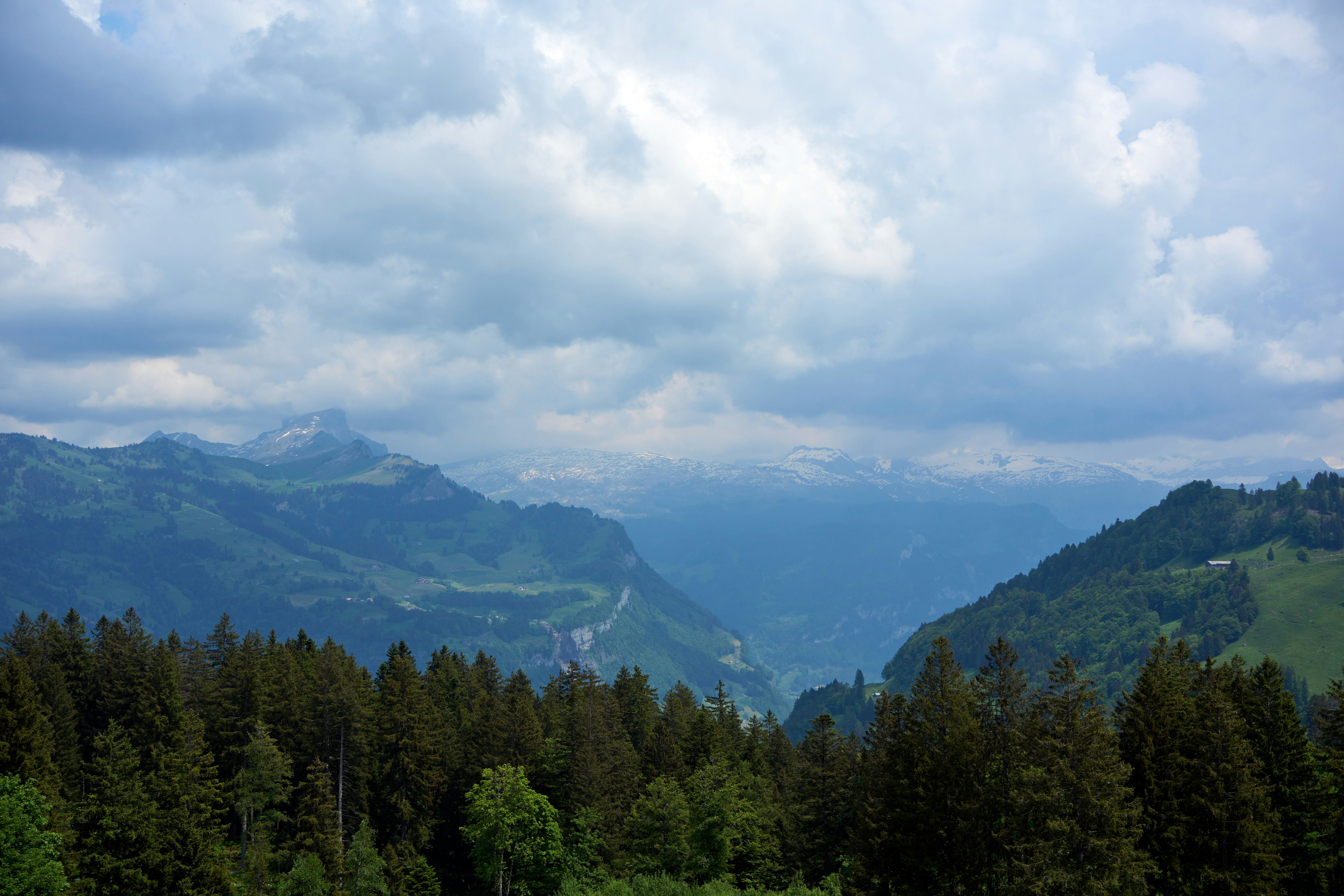 Photo by wolfgang_hasselmann