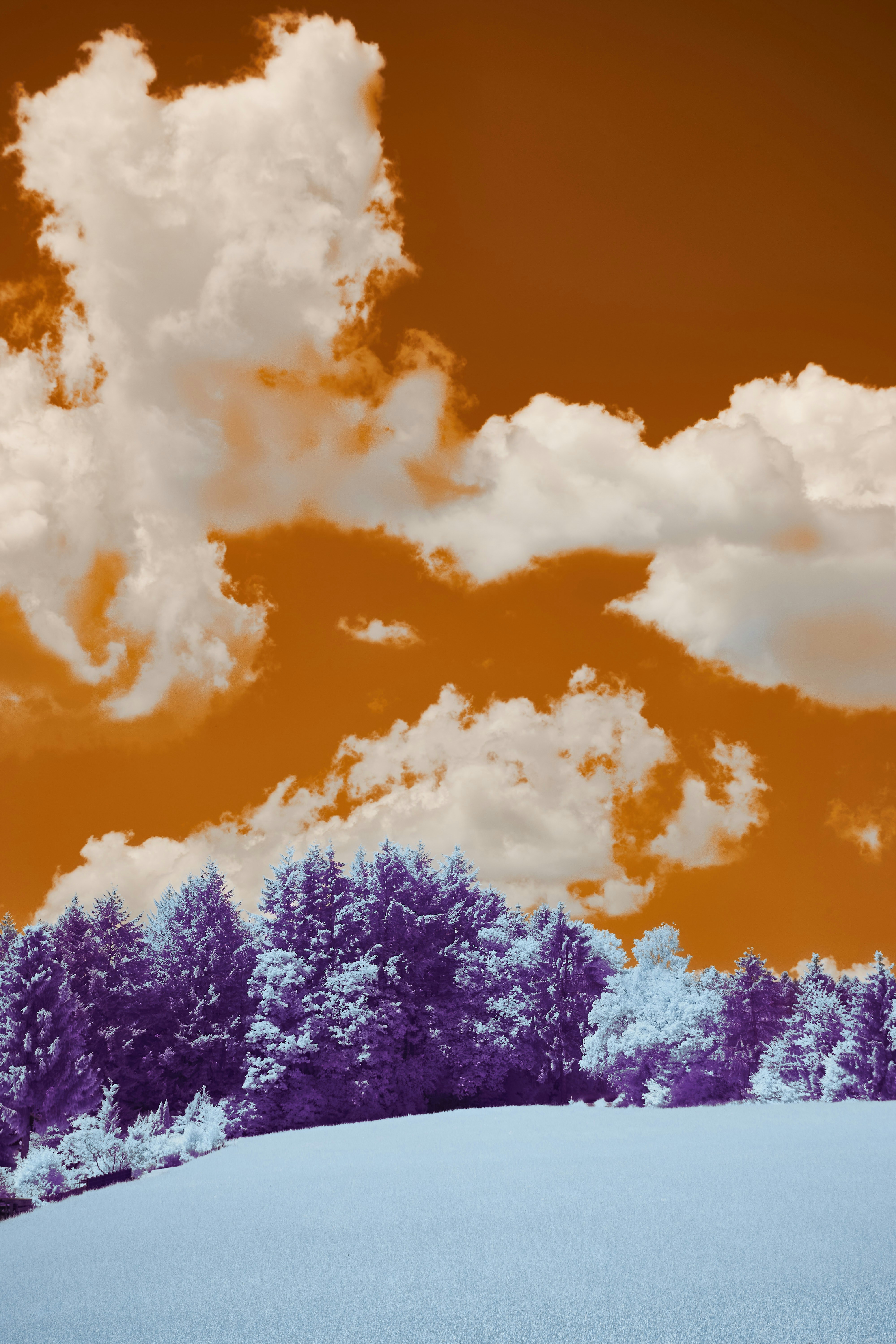 Photo by wolfgang_hasselmann