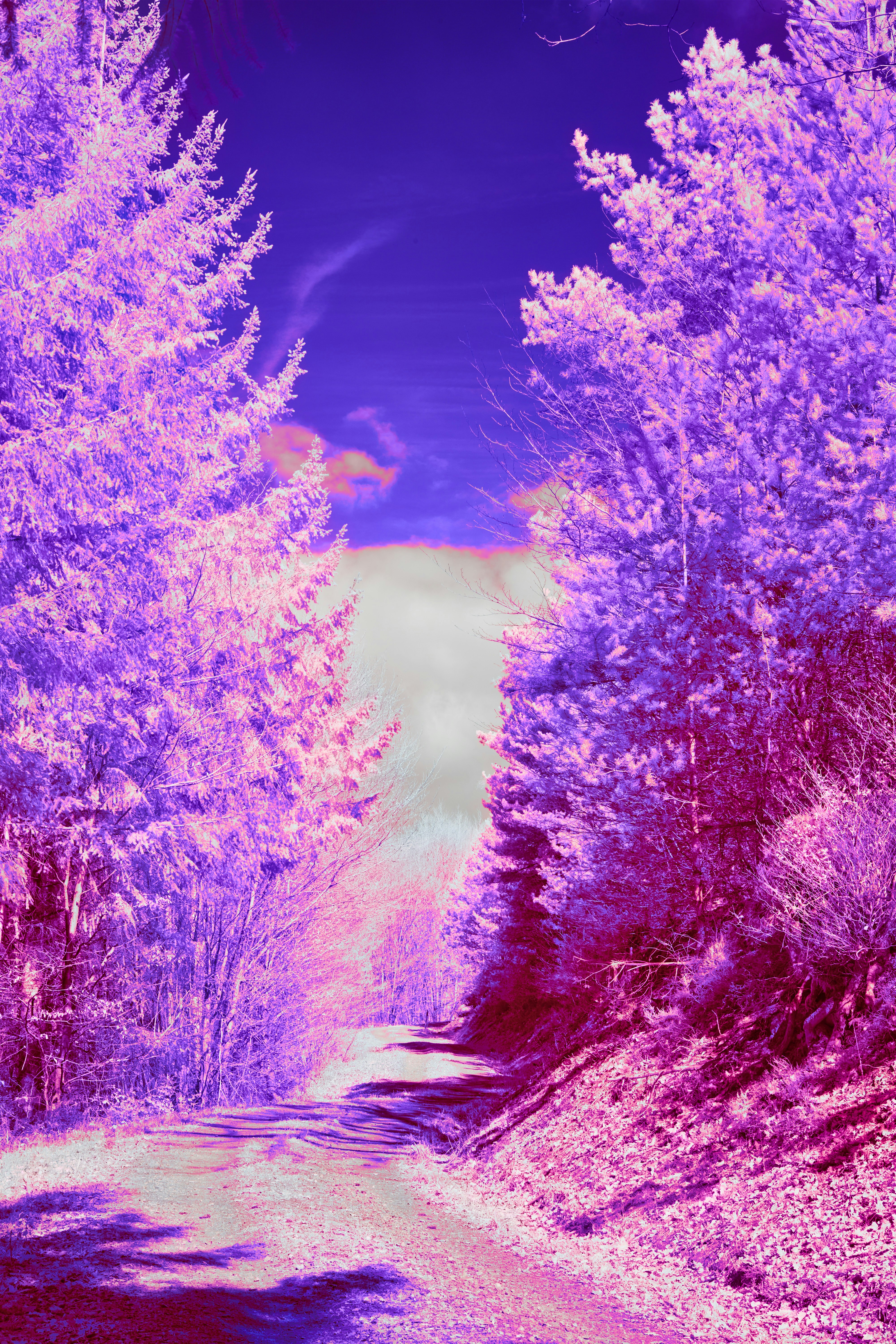 Photo by wolfgang_hasselmann