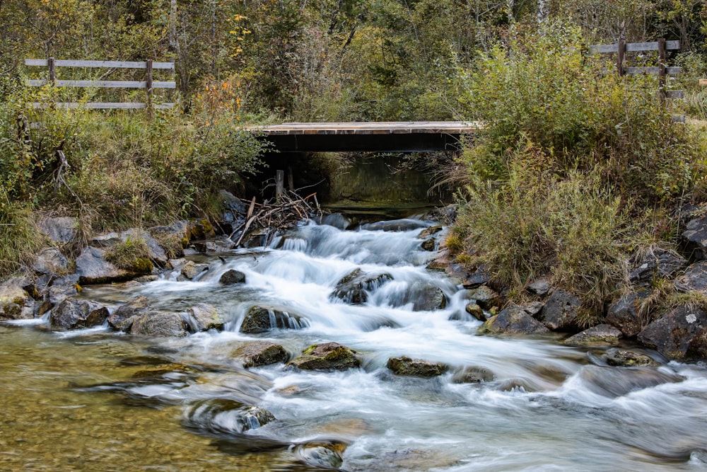 ein Bach, der unter einer Brücke im Wald hindurch fließt