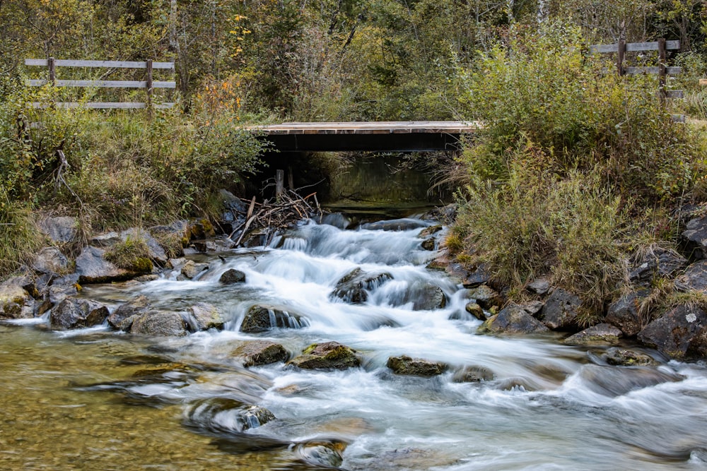 a stream running under a bridge in the woods