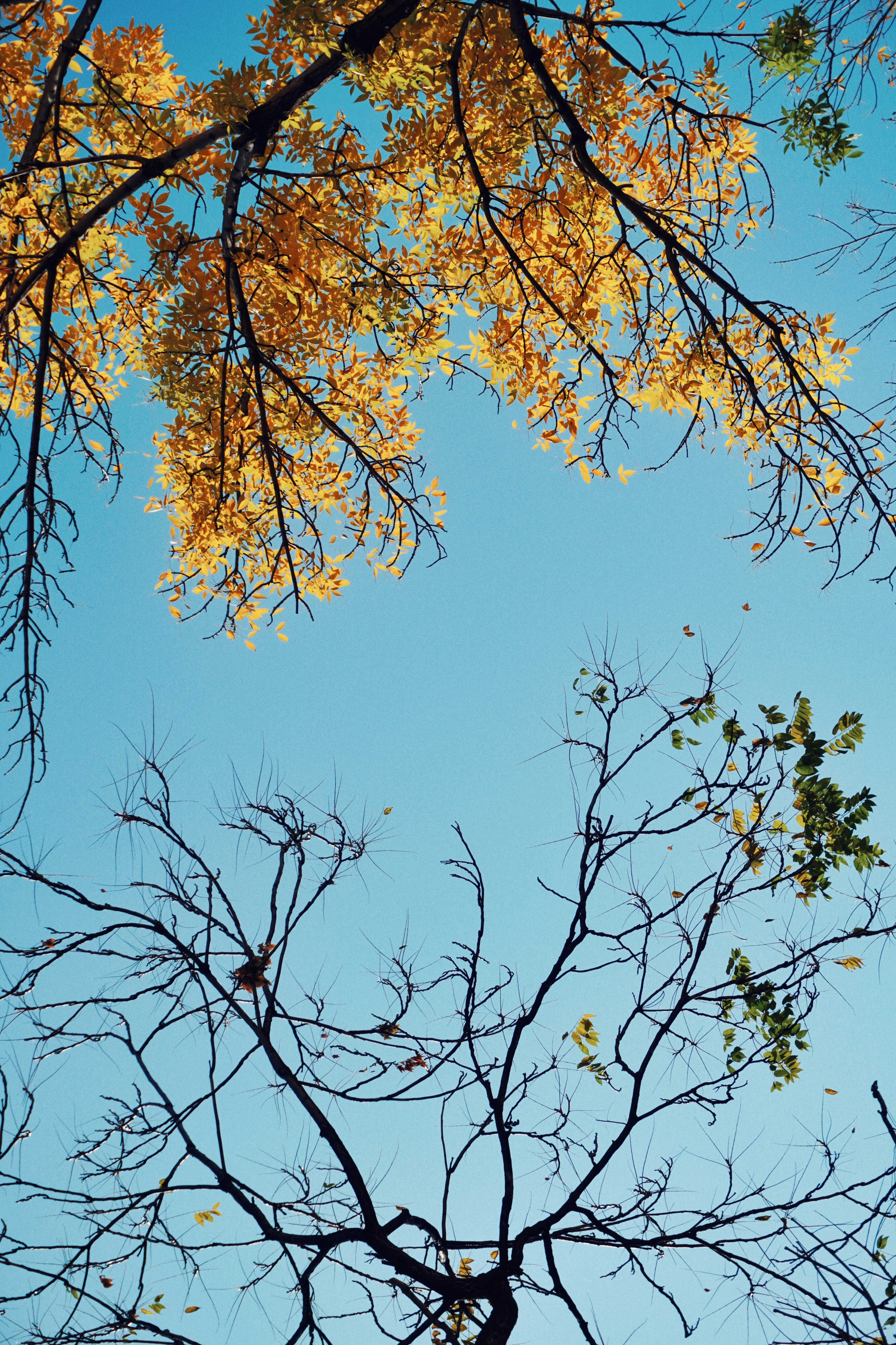 Photo by albert_canite