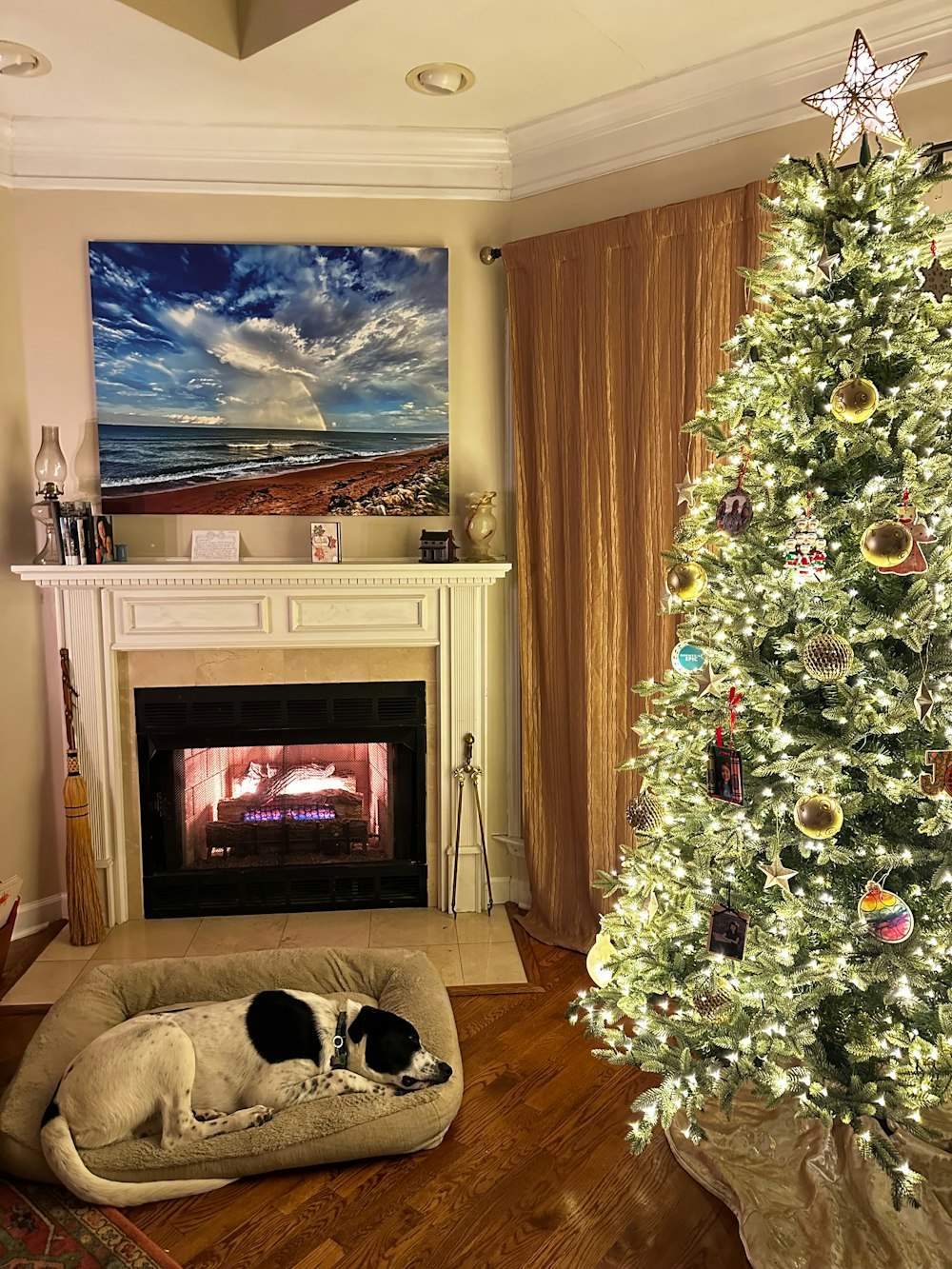 Um cachorro deitado em uma cama em frente a uma árvore de Natal