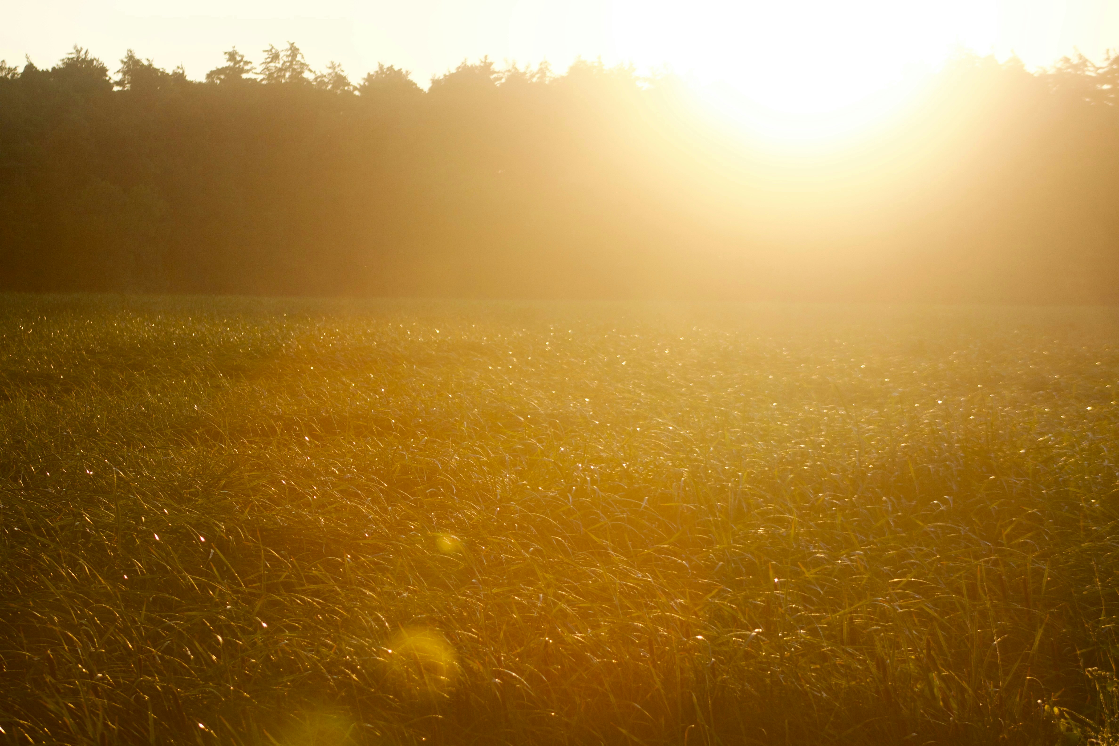 Photo by atiliarmadilla