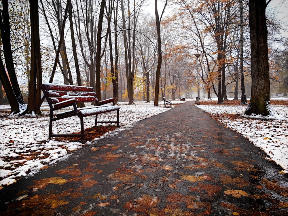 a park bench sitting in the middle of a snow covered park