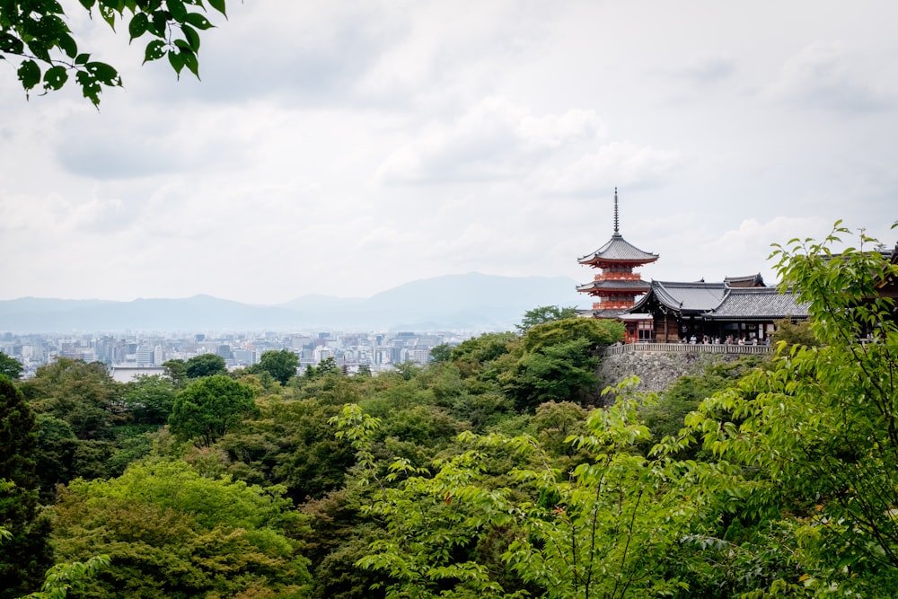 a tall building sitting on top of a lush green forest