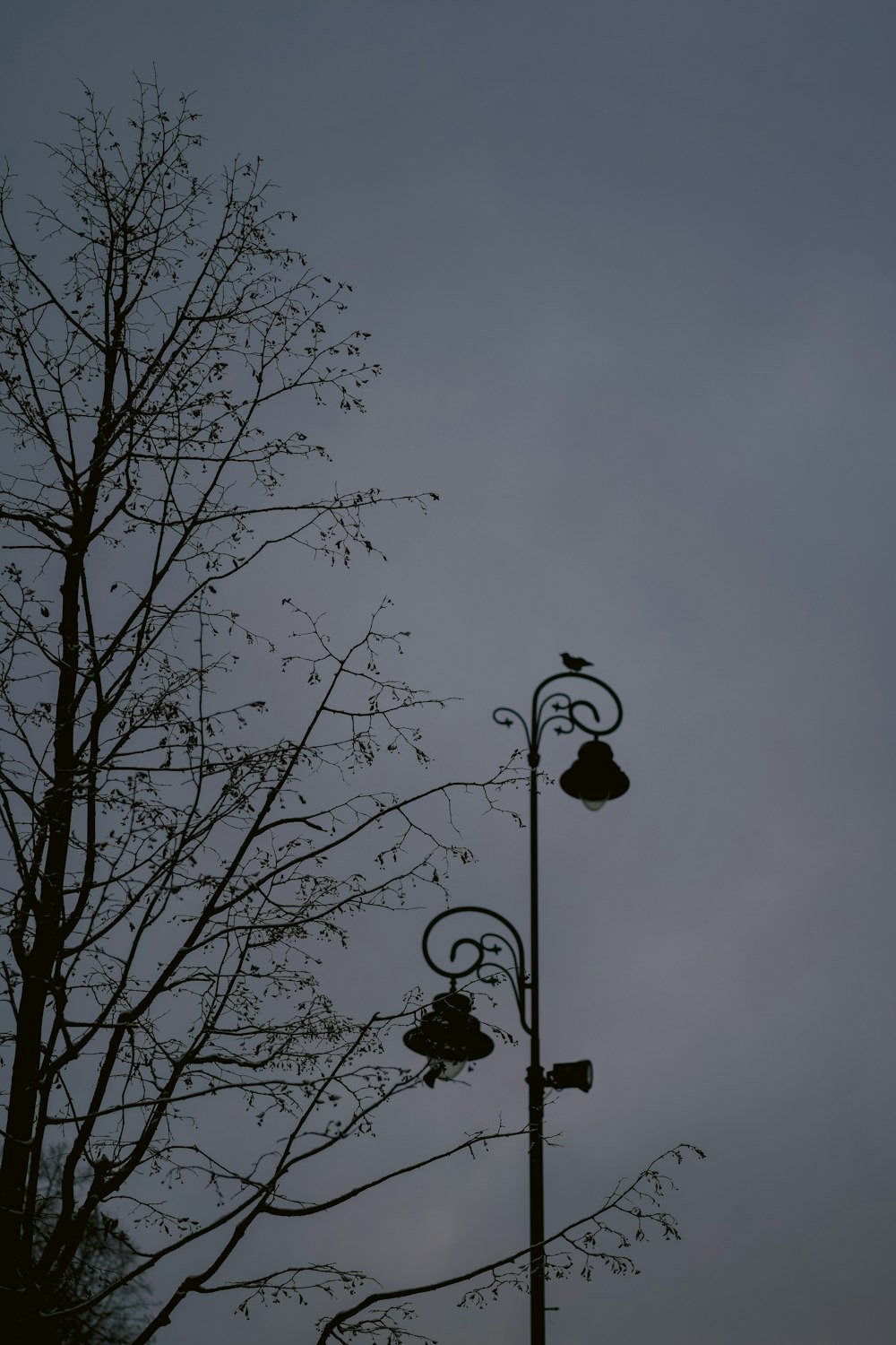 a street light with a bird sitting on top of it