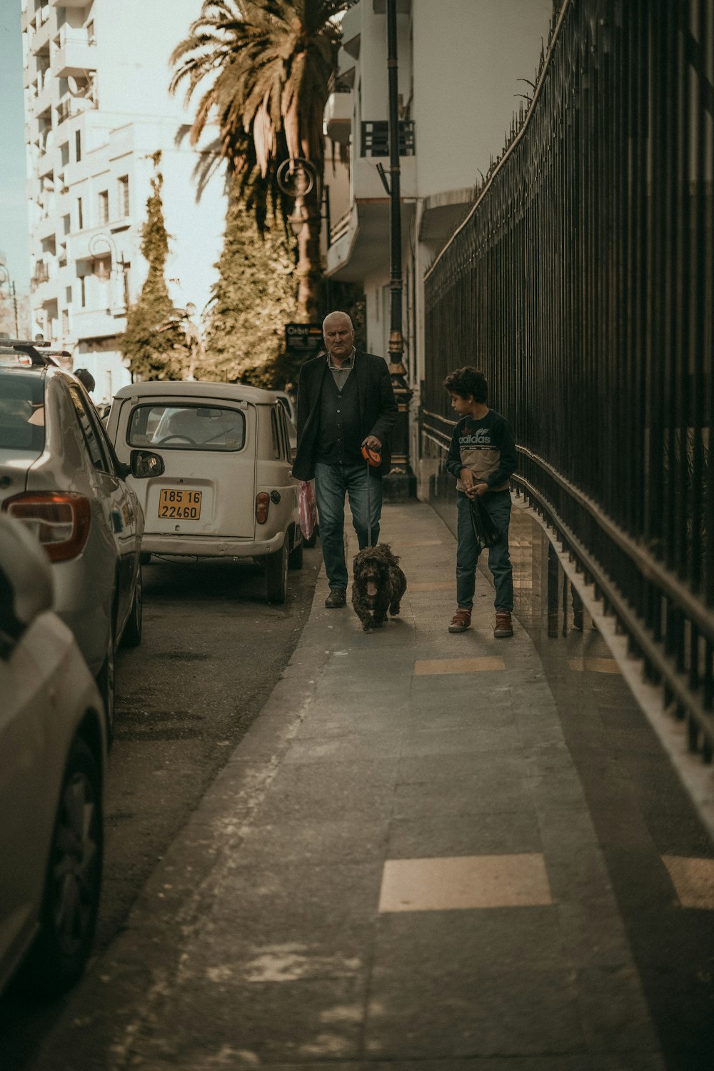 a man walking a dog down a sidewalk next to cars