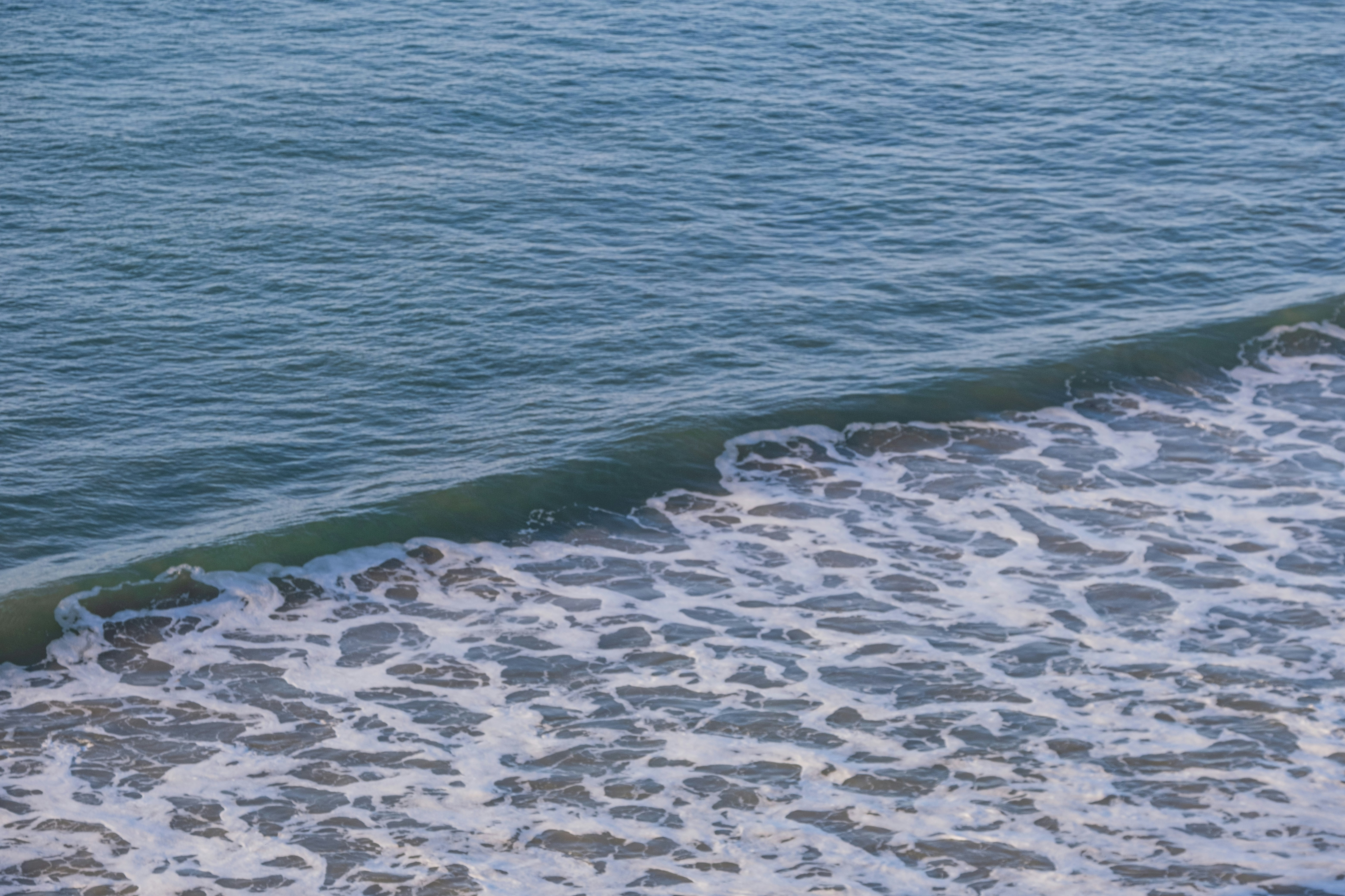 Photo by cestmoisheedy