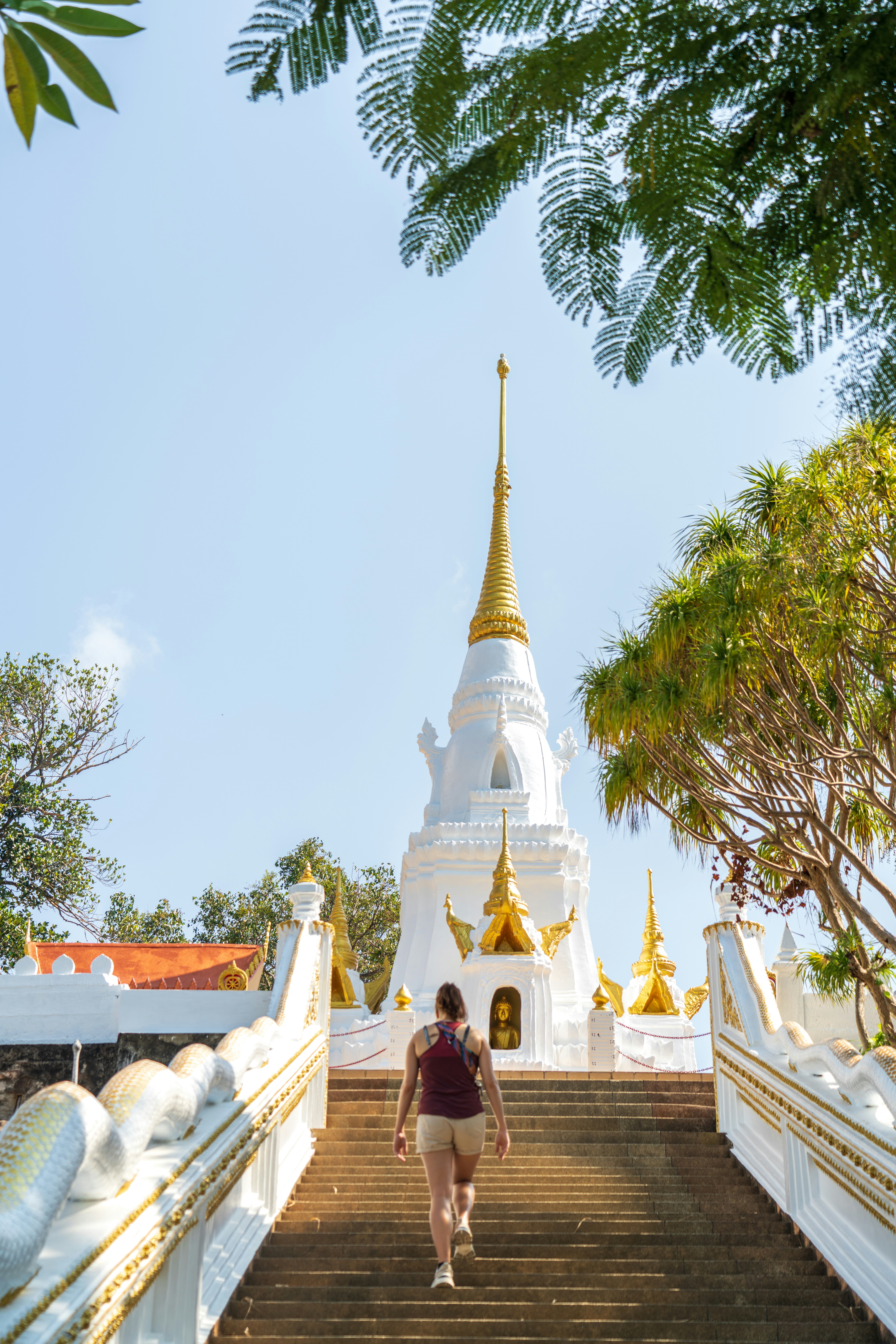 Photo by anton_lammert