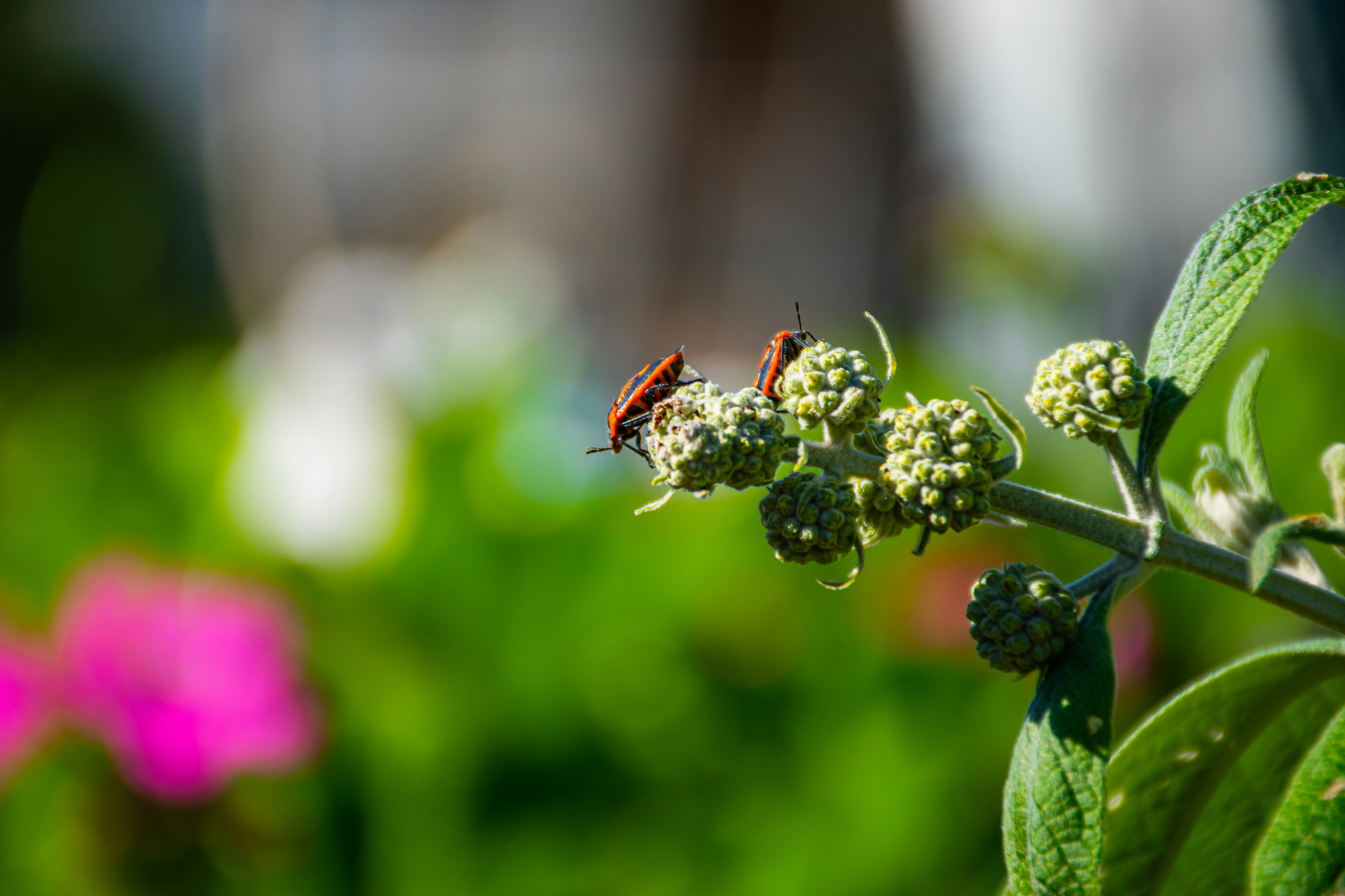 Photo by adam_skrinnikoff