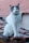 A white and gray cat with a black spot on its face is sitting on red, curved roof tiles. The cat is wearing a collar with an ID tag shaped like a bone. The background consists of similarly colored roof tiles and a portion of a building wall.