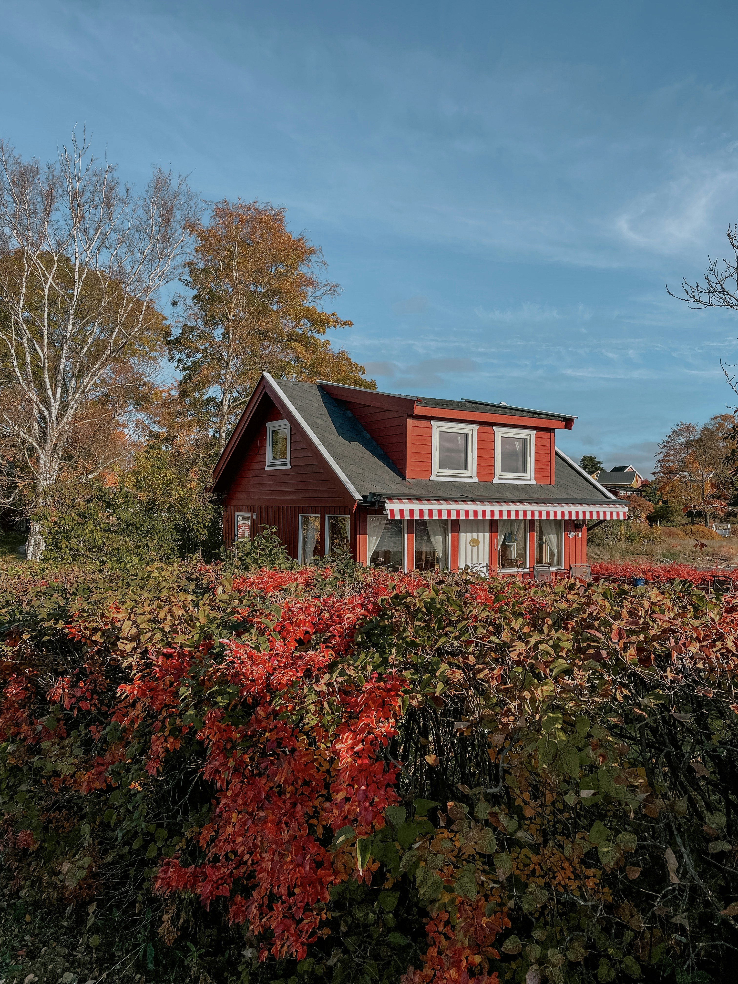 Photo by luciahatalova