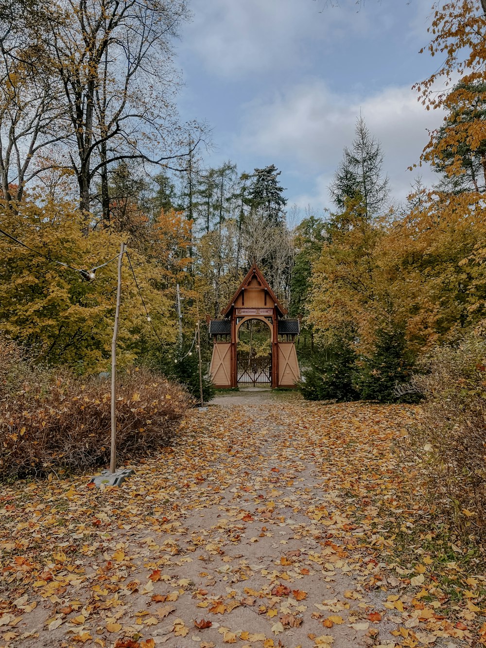 a small wooden structure in the middle of a forest