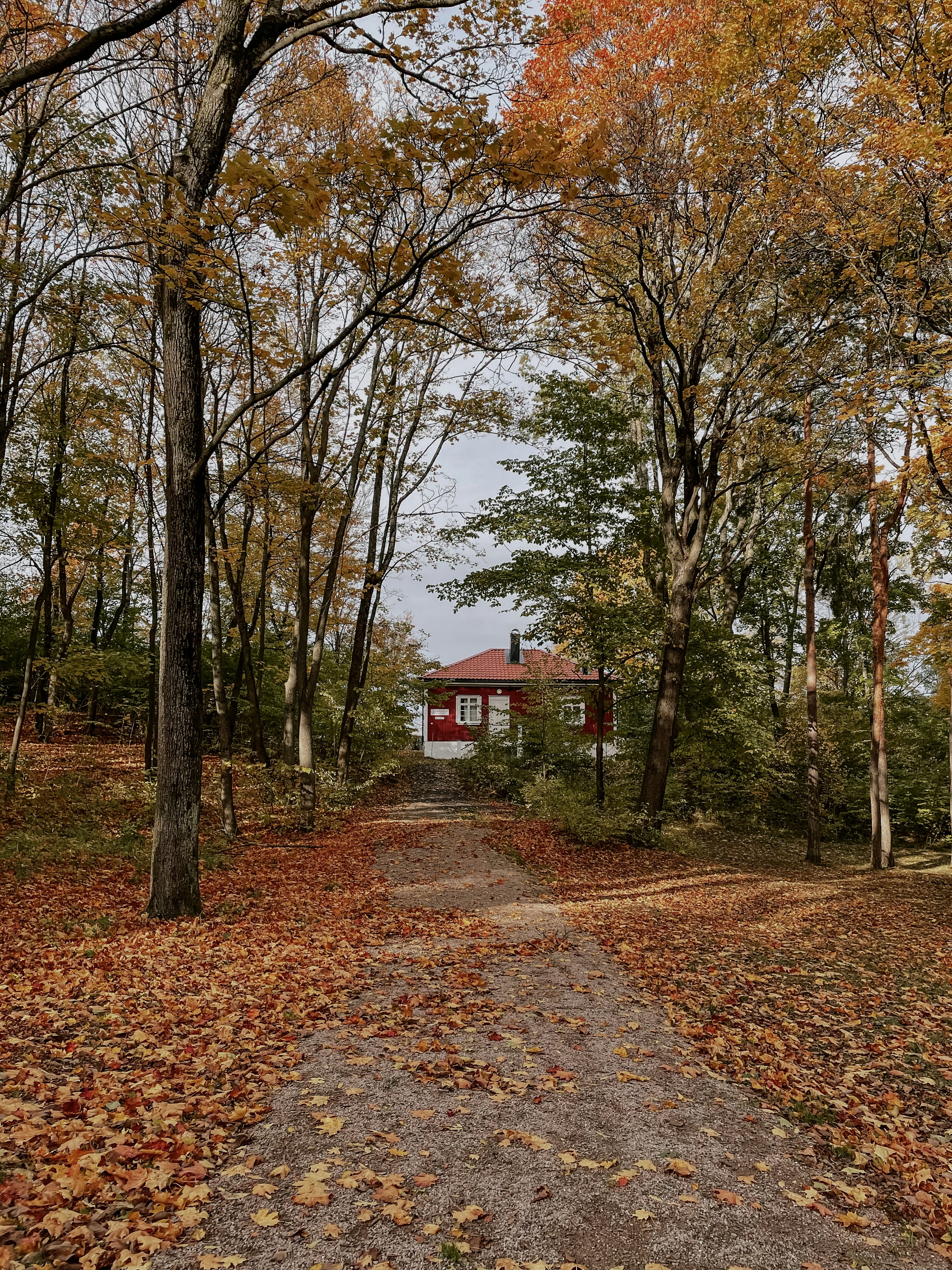 Photo by luciahatalova