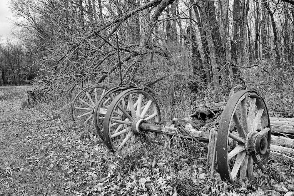 a black and white photo of an old wagon in the woods