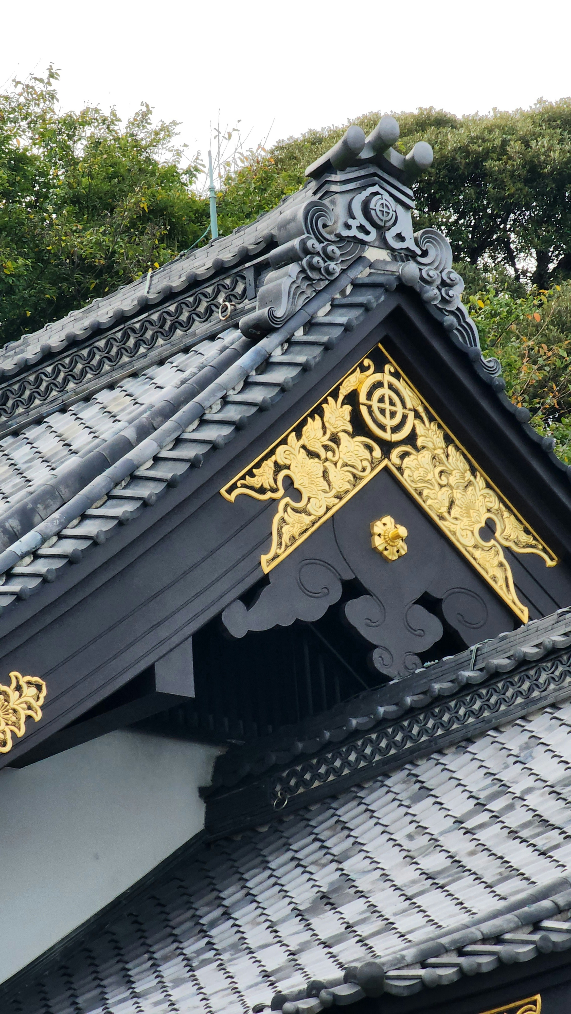 Photo by bobbbylight