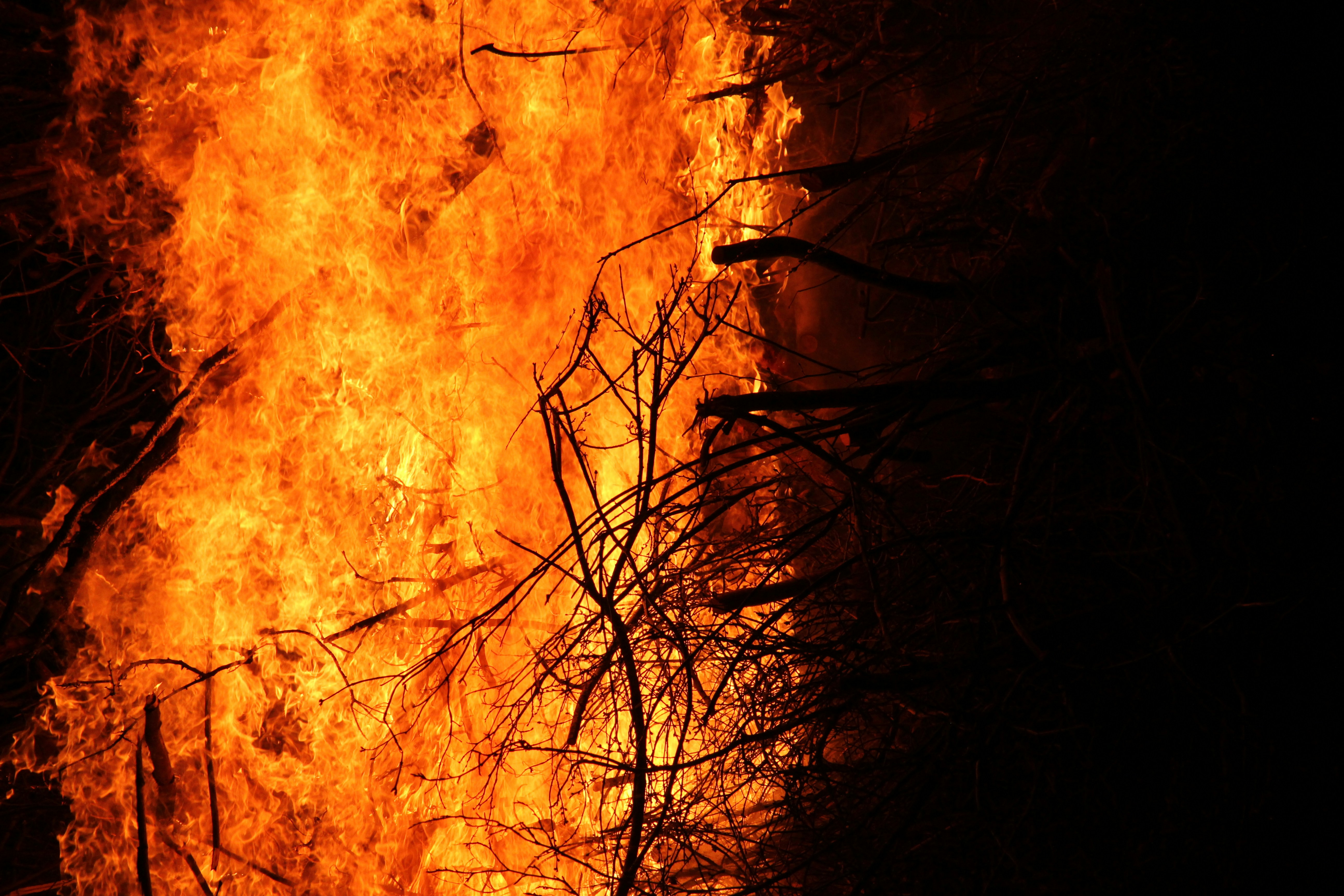 Photo by john_kinnander