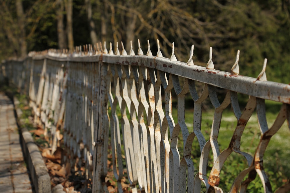 an old rusty fence with leaves on the ground