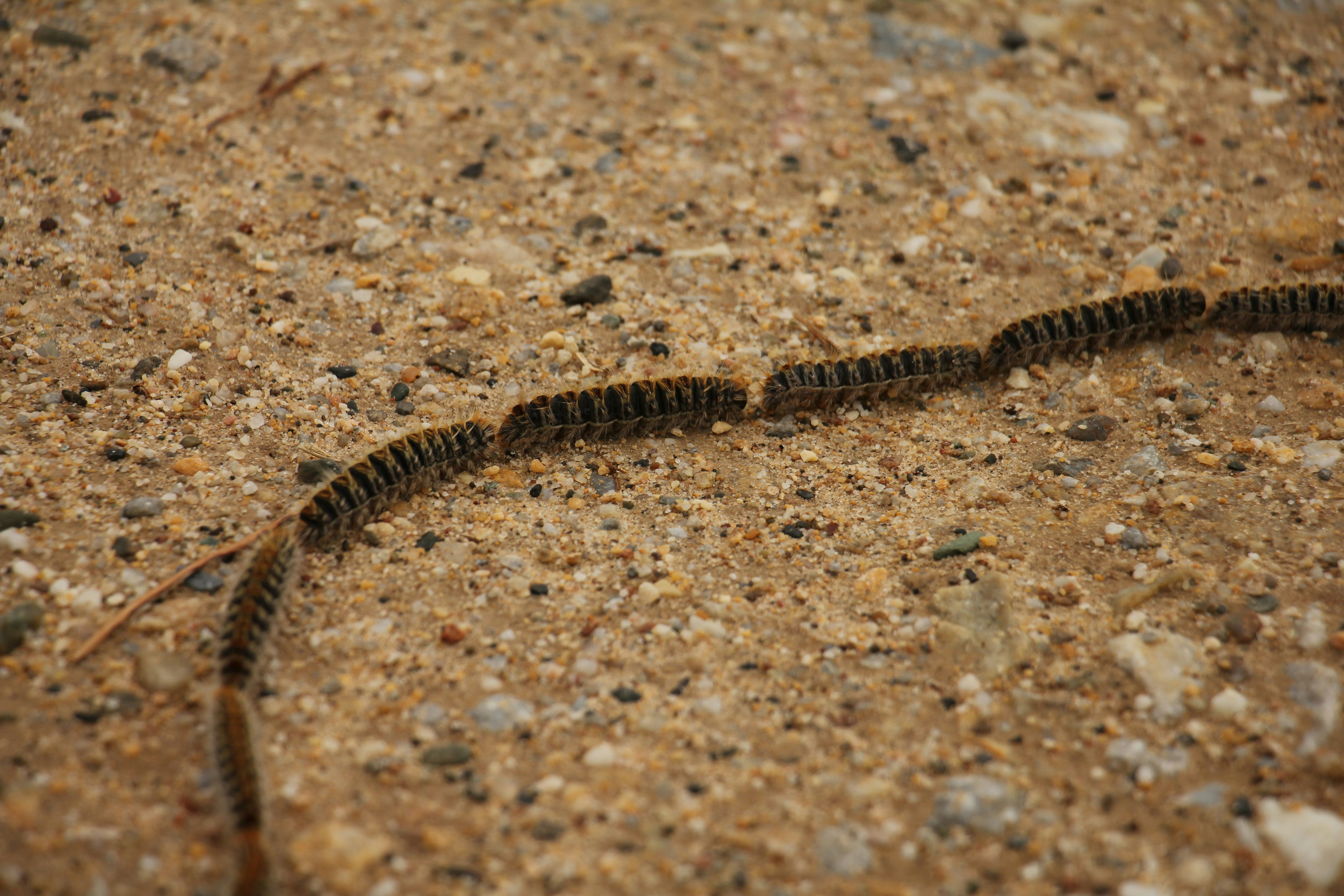 Photo by john_kinnander