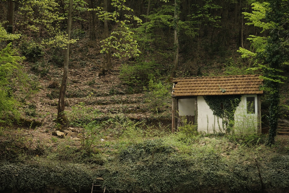 an outhouse in the middle of a wooded area