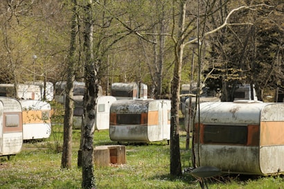 Several weathered and aged caravans are parked among trees in an outdoor setting, possibly resembling an abandoned or rustic campsite. The surroundings include grass and sparse foliage on the trees, suggesting early spring or late autumn.