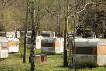 Several weathered and aged caravans are parked among trees in an outdoor setting, possibly resembling an abandoned or rustic campsite. The surroundings include grass and sparse foliage on the trees, suggesting early spring or late autumn.